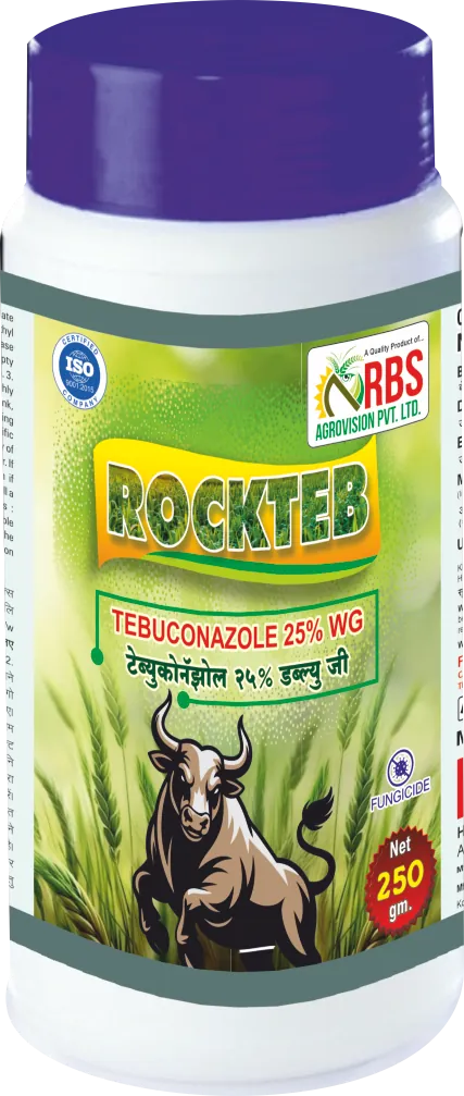 rockteb